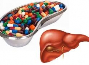 Thuốc nào vừa tiền mà lại tốt cho gan?